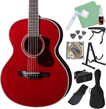 James / J-300A TRD アコースティックギター 61qnrd6BlcL._AC_UF350,