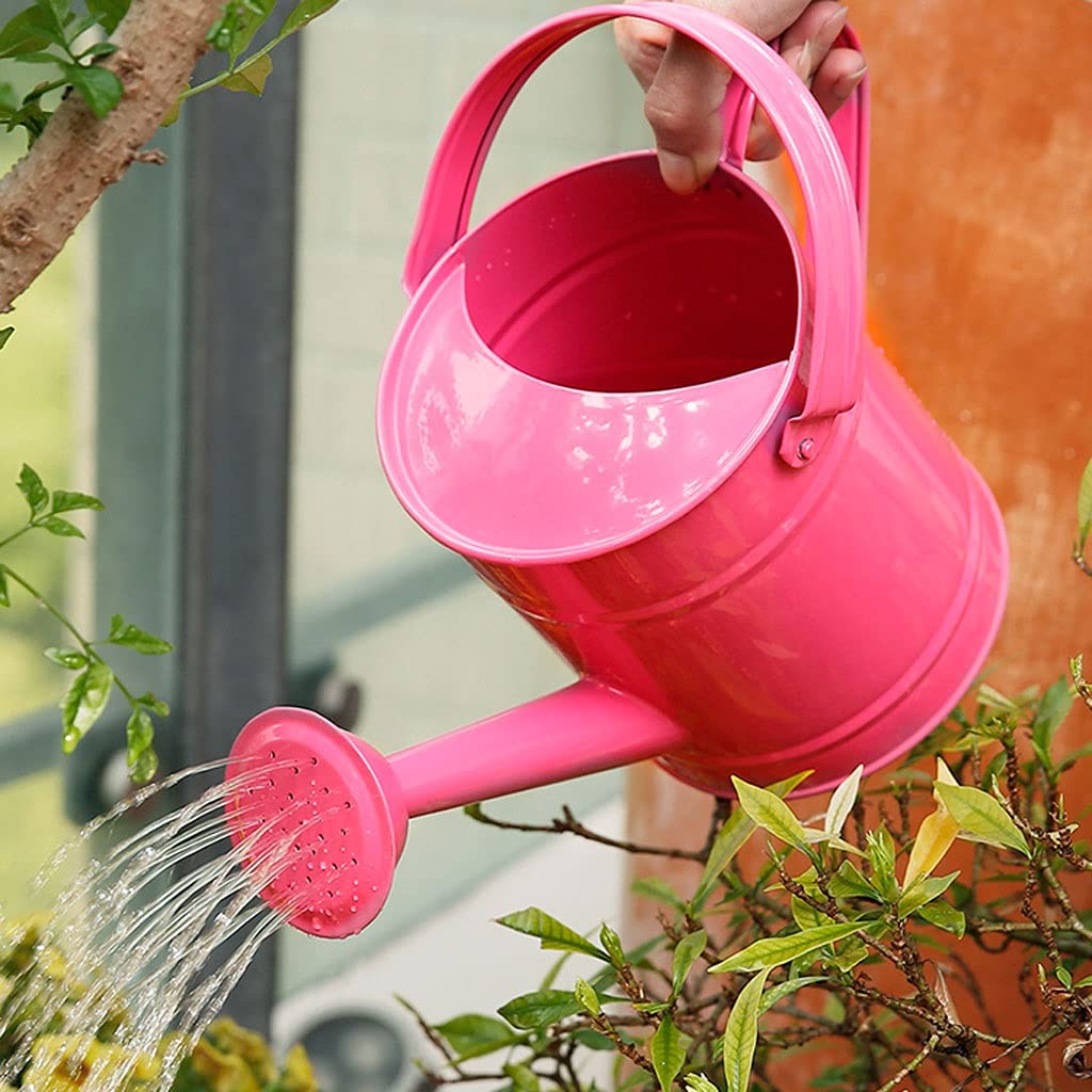 Gartengießkannen Die Bewässerung kann für Innenpflanzen, Metallwasserdämmer mit Griff und Roseheind für Außen- und Innenhäuser-Pflanzen, 1,5l, 3 stück Für Hauspflanzen