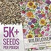 Seed Needs Garden Flower Seeds Large Blooms Mix Hummingbird and Butterfly | 1 Ounce No Filler 7 Varieties Open Pollinated | Resealable Package Live Wild Flower Seed | Bulk #1