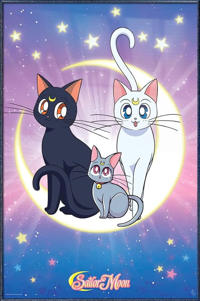 美少女戦士セーラームーン ルナ(黒猫)セル画+動画 美少女戦士
