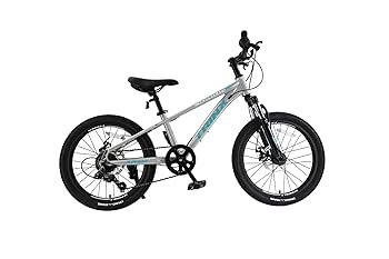 TRINX トリンクス 子供用マウンテンバイク　20インチ　中古　千葉県 子ども用自転車 20インチ マウンテンバイク MTB ダブルディスク