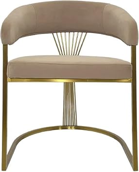 Benzara Yuki Dining Chair, Curved Gray Velvet Backrest, Silver Cantilever Base