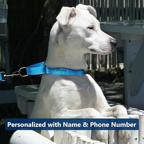 Miniatura 2 de Collar de Martingala personalizado para perros con hebilla de liberación rápida, collar de nailon reflectante con nombre y número de teléfono para
