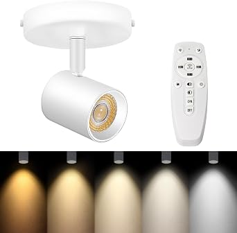 Remote Control Flush Mount Ceiling Spotlight Dimmable, 10W White | Adjustable Directional LED Spot Lights Indoor, Accent Fixture for Art Picture Living Room - Bright CRI90+ Flicker Free 800lm