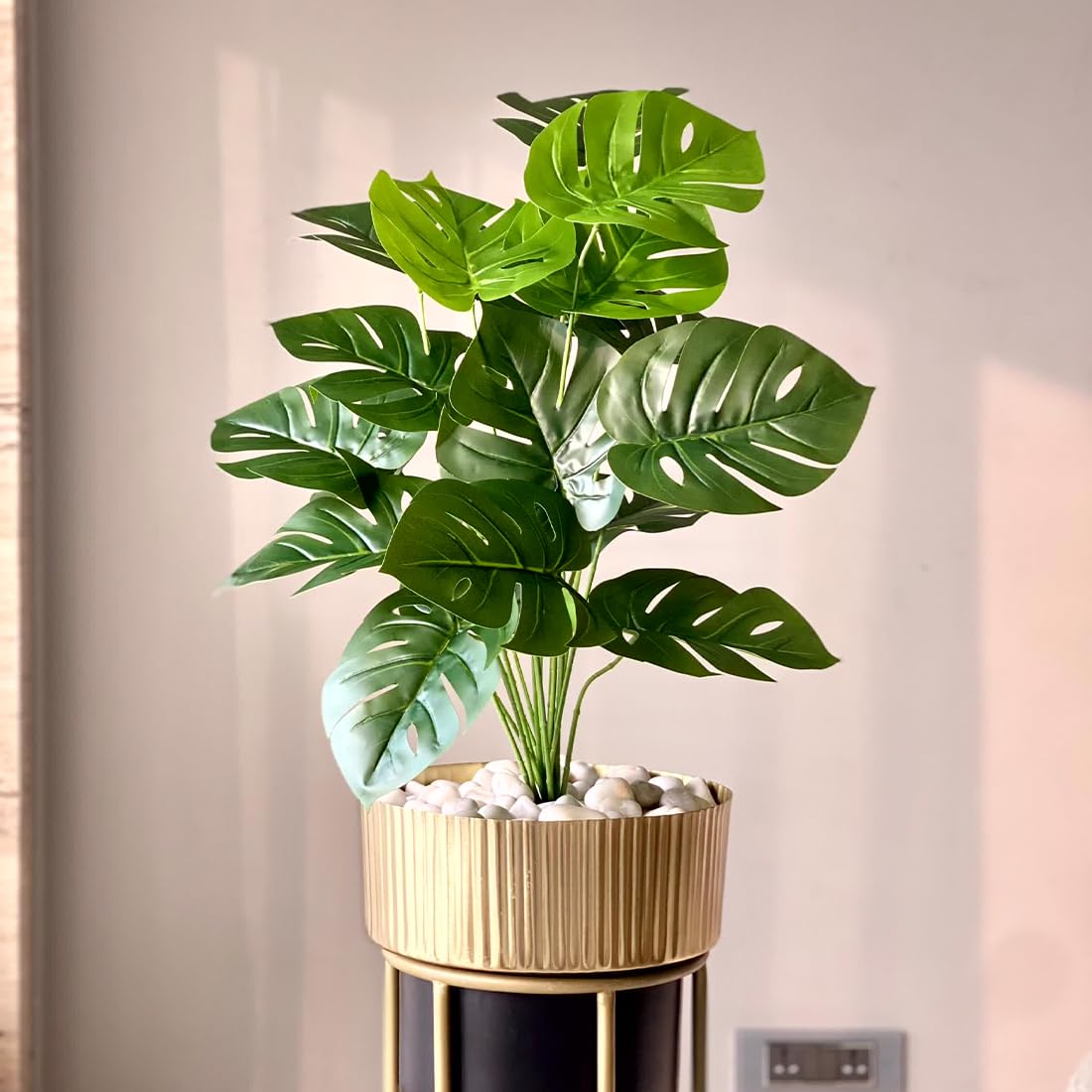 Artificial Botanic Monstera Plant - 2 Feet | Realistic Plant - Trees - Flowers | Indoor Tropical | Home - Shop - Office | Gifting - Décor - Ambience - Durable | No Maintenance
