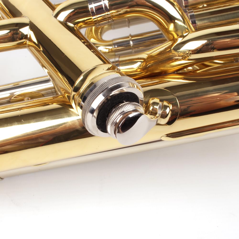Bb Euphonium 4 - Valvole in ottone dorato, con valigetta