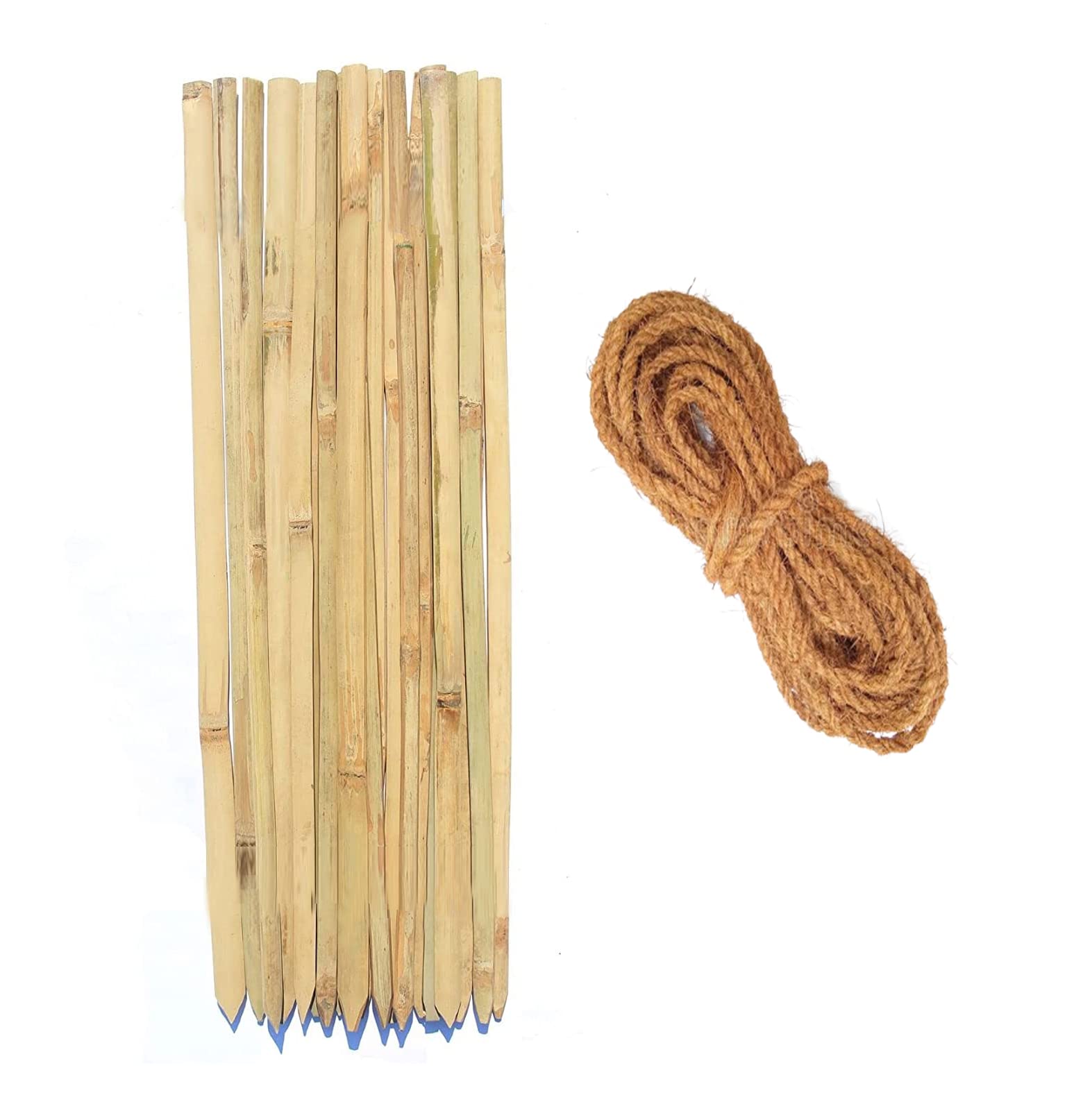 MNSS Bamboo Sticks Plank for Plants Support - 2 Feet 2 Inch /26 Inch (67cm, Set of 20 Piece)