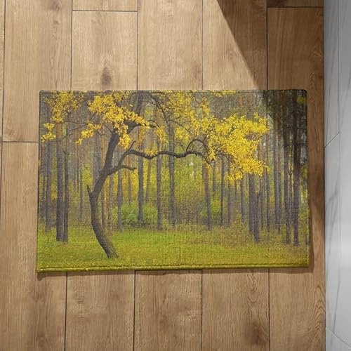 Isdreem Zerbino Ingresso da Esterno Tappeto Robusto per Interni Giungla Zerbino Ingresso Simpatici Tappeto Bagno Assorbente Cotone Felpato Leggero Antiscivolo, 45x75cm