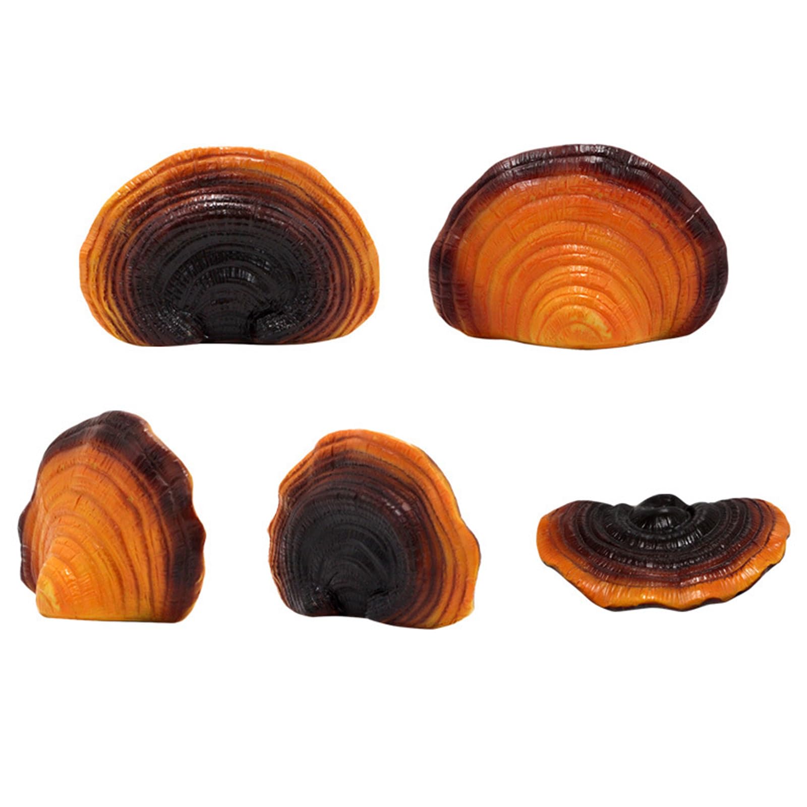 Whyzsjnclg 5Pcs Mushroom Wall Shelf, Mushroom Shelf, Resin Wall Decor, Floating Adhesive Cottage Core Decor, Small Fairy For Patio Courtyard Garden For Daily Use