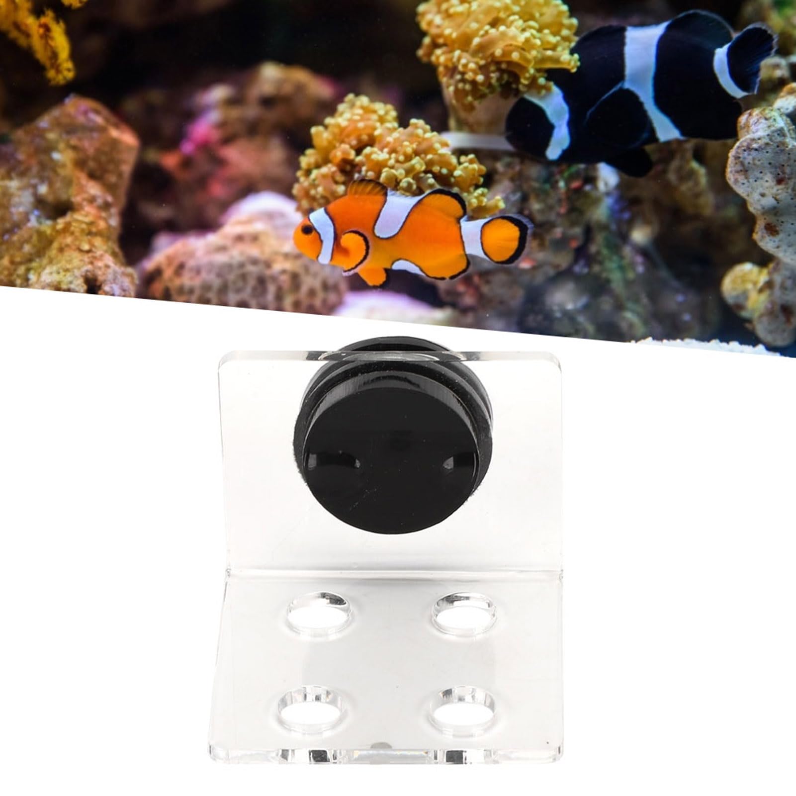 Glomora Coral Frag Rack, Acrylic Magnetic Coral Frag Holder Support with Strong Magnet, 4-Hole Design for Healthy Growth in Aquarium Fish Tank