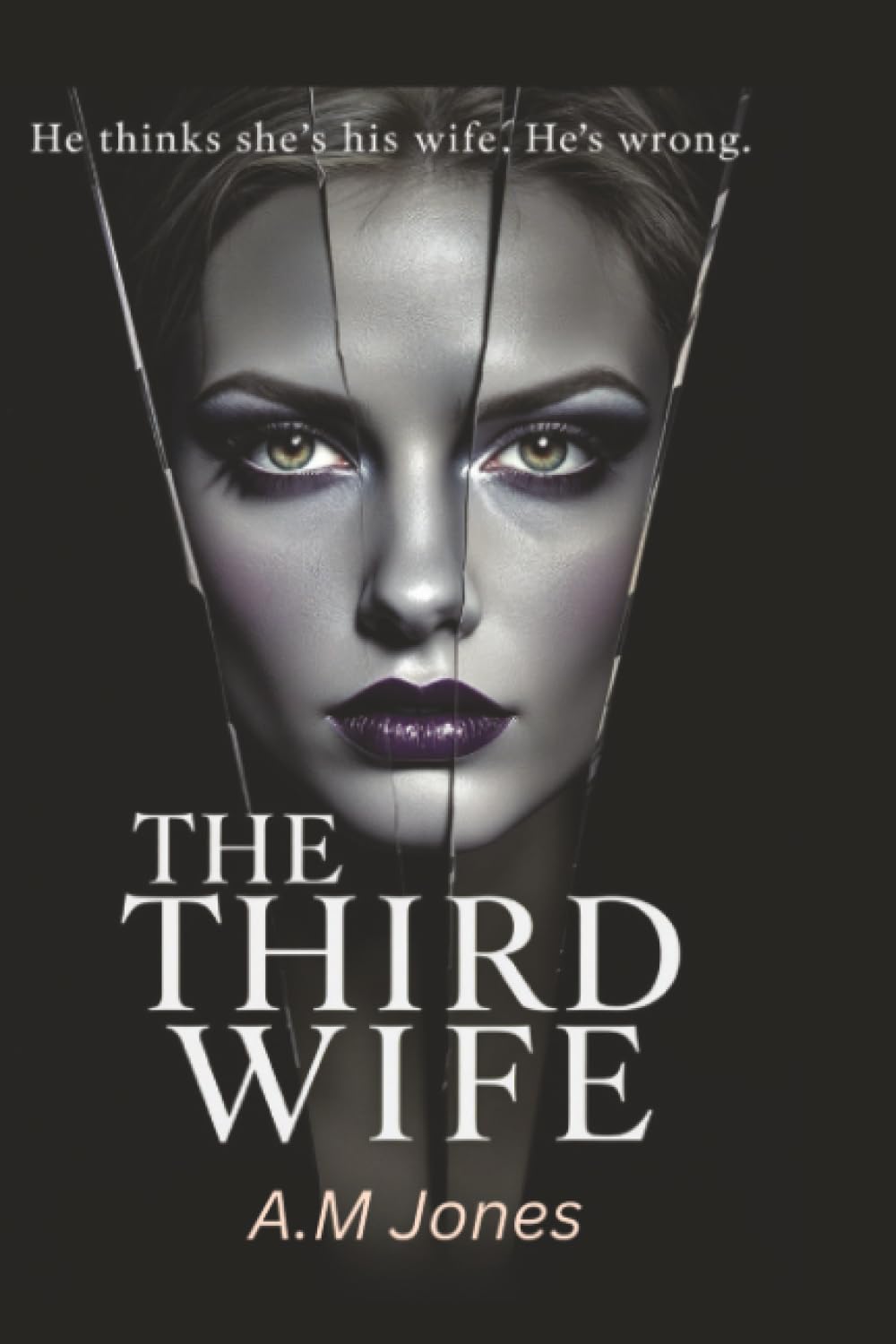 The Third Wife: A Gripping Dark Psychological Thriller
