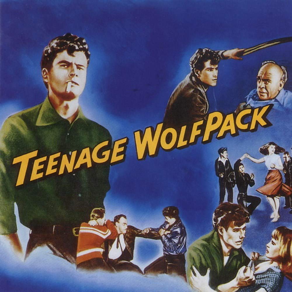 SEIZE M・T・K / OMNIBUS OF TEENAGE SINGER Teenage Wolfpack: VARIOUS ARTISTS: Amazon.ca: Music
