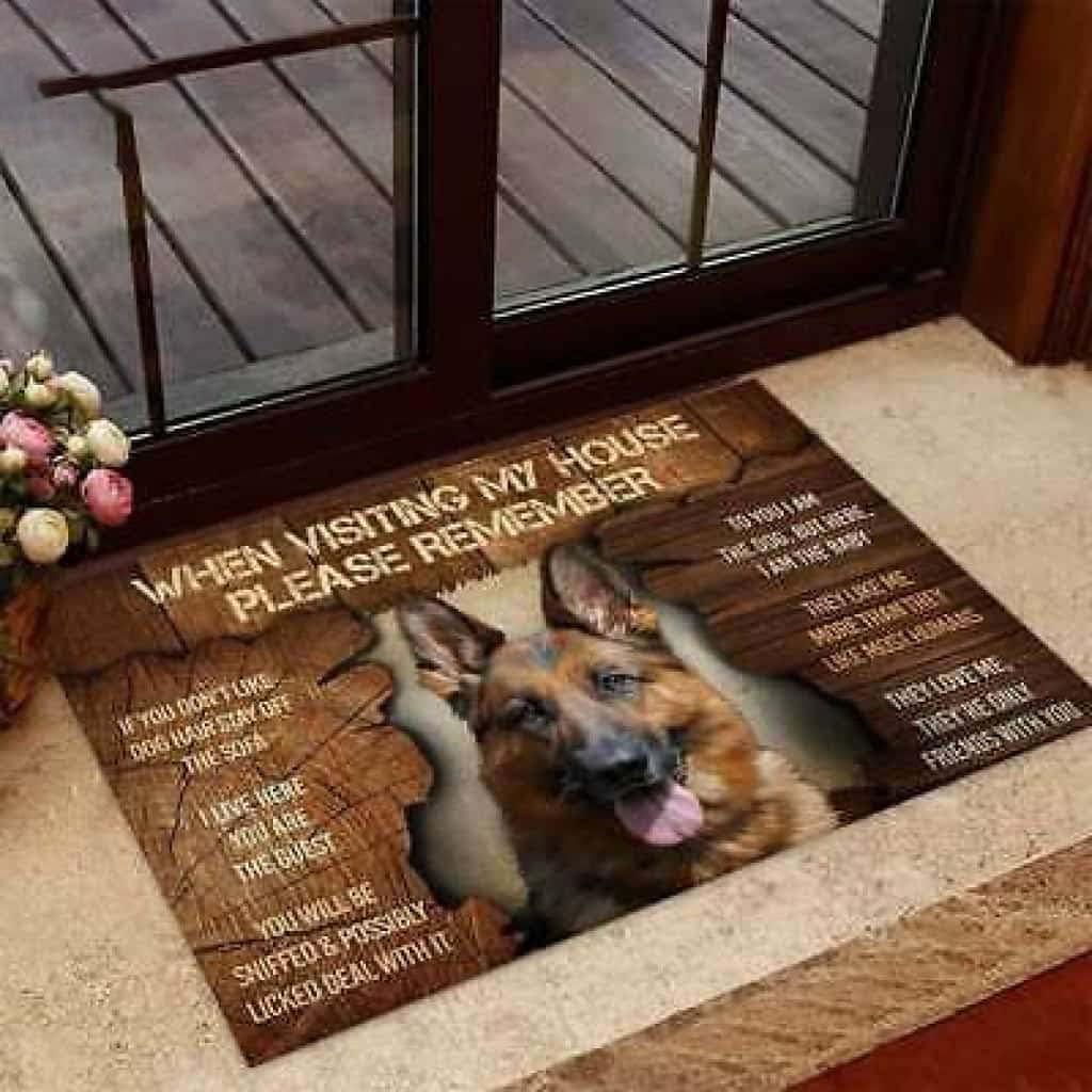 Paillasson extérieur d'entrée : le bonheur d'avoir un chien