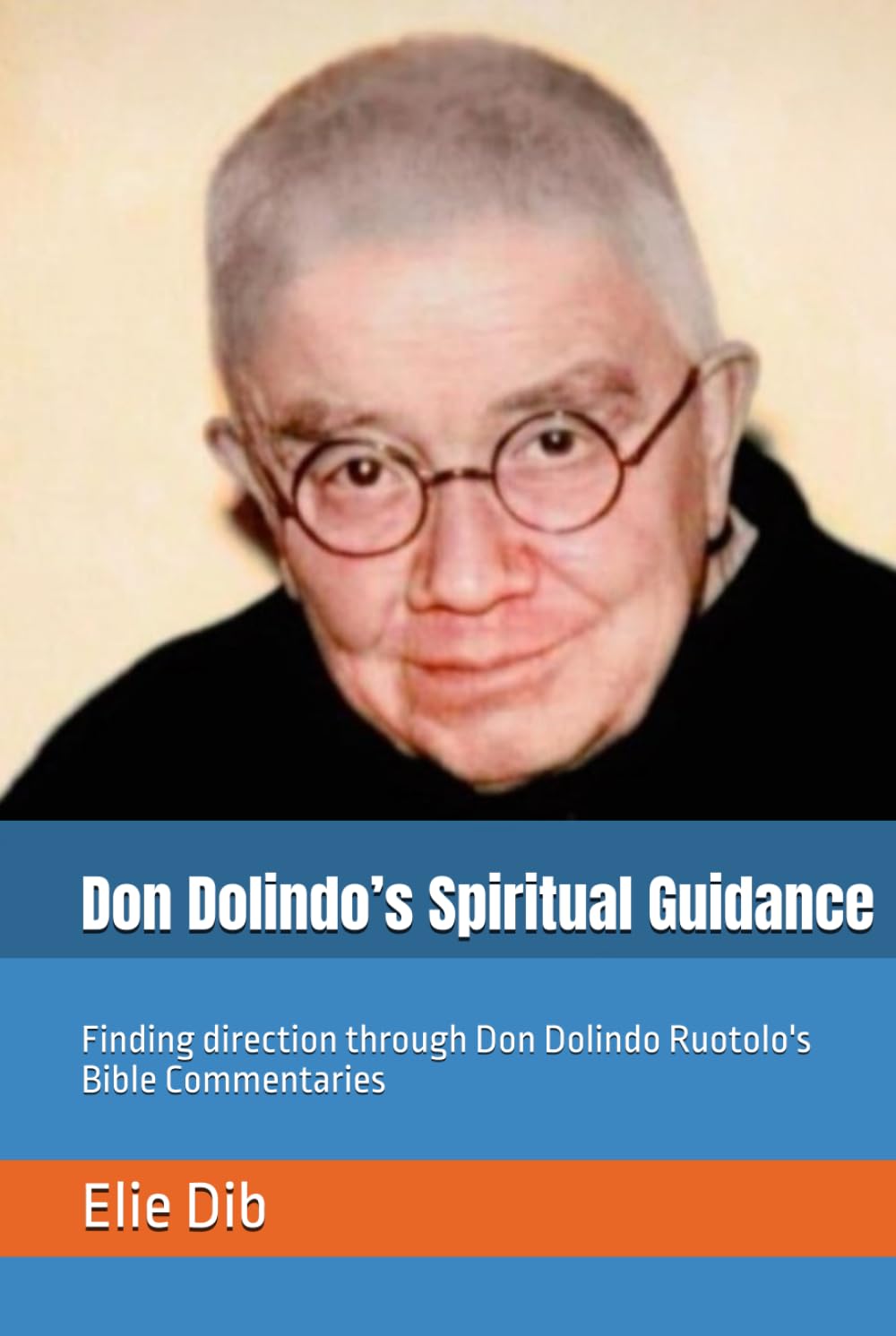 Don Dolindo’s Spiritual Guidance: Finding direction through Don Dolindo Ruotolo's Bible Commentaries (Centro Studi “Sac. Dolindo Ruotolo”)