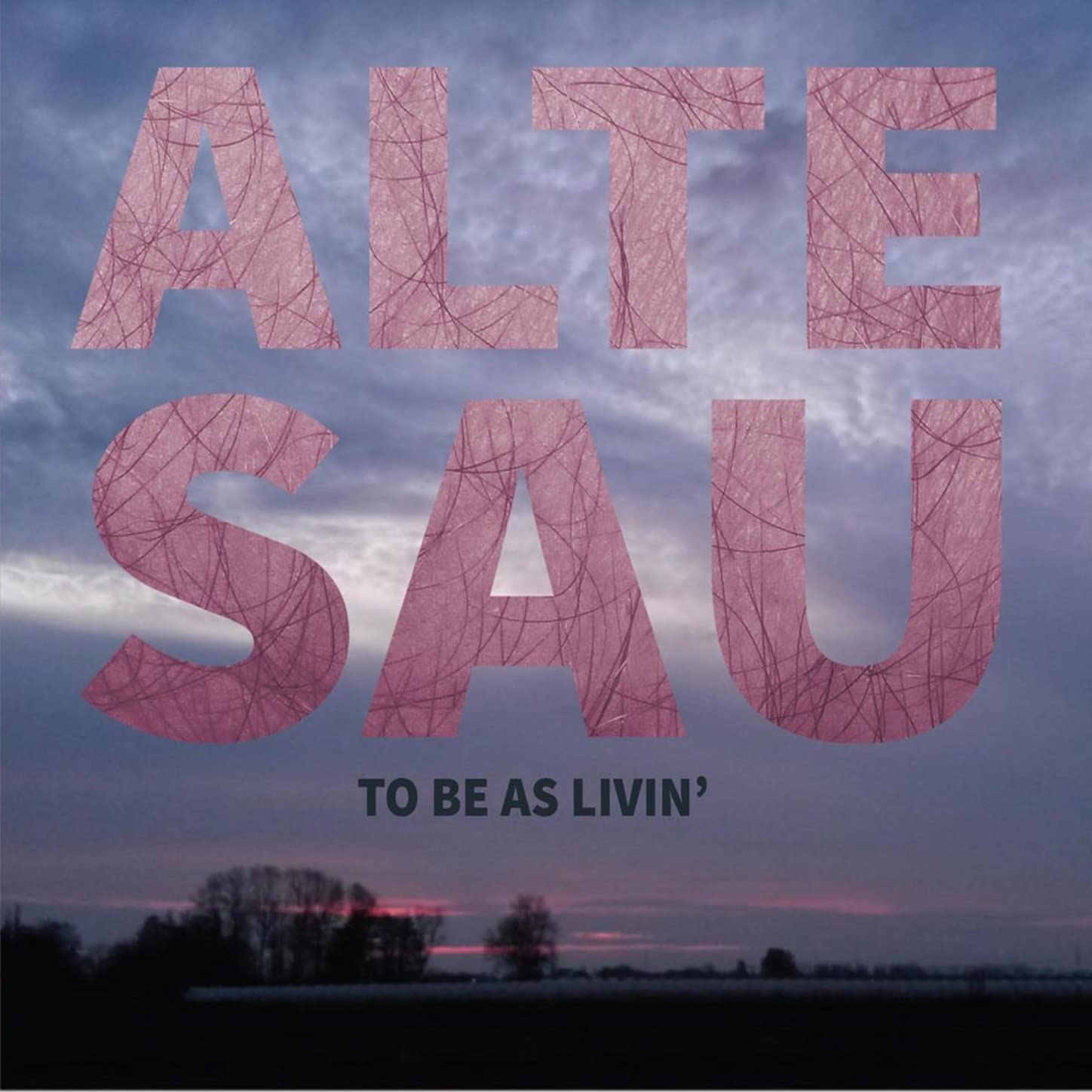 Alte Sau