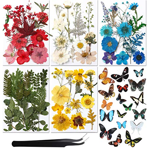 Real Dried Pressed Flower Set with Butterfly Transparent Stickers Scrapbook Decals Natural Dried Flowers Leaves with Tweezers for Resin Supplies DIY Candle Jewellery Making Real Dried Pressed Flower Set with Butterfly Transparent Stickers Scrapbook Decals Natural Dried Flowers Leaves with Tweezers for Resin Supplies DIY Candle Jewellery Making
