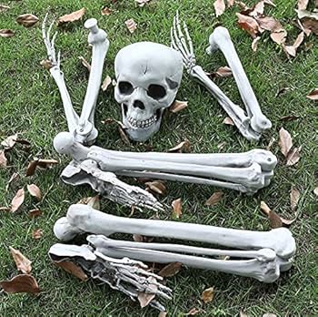 専用出品　ハロウィン骸骨 Amazon | ORFINA ハロウィン 骸骨 飾り スケルトン 怖い モデル