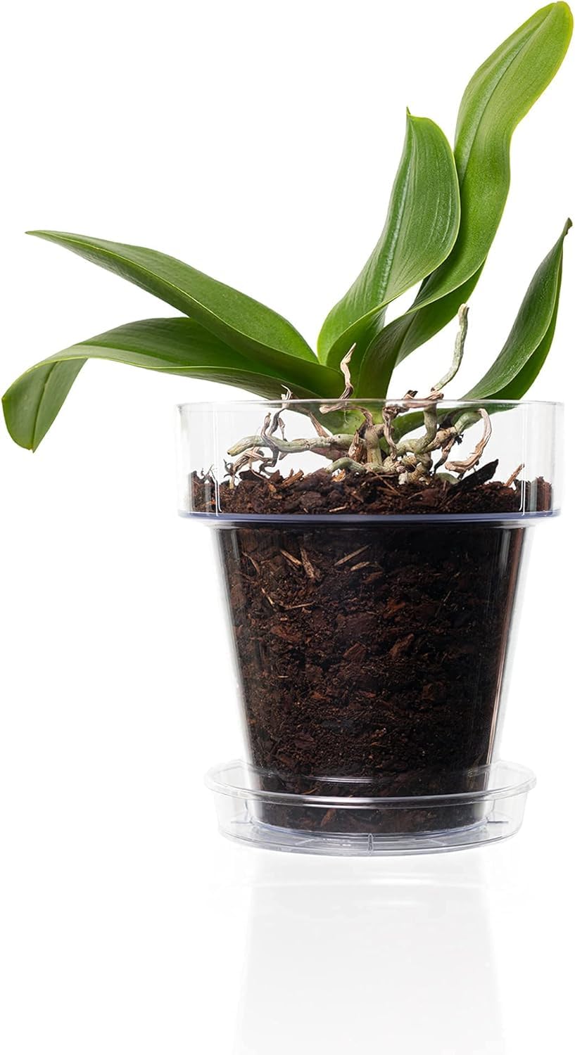 Lot de 3 Pot pour orchidées Transparent en Plastique avec Trous de Drainage et soucoupes (3 - Ø 14 cm)
