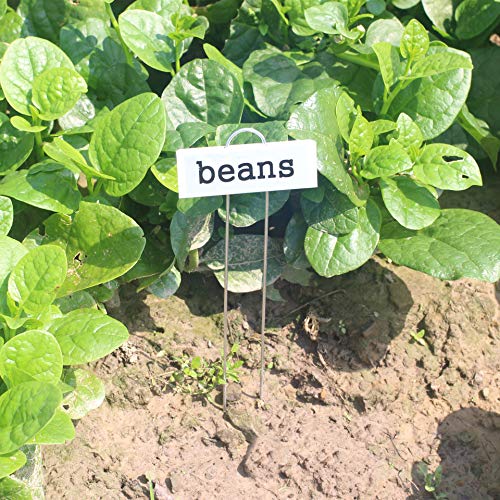 Amatory Garden Markers Signs Plant Labels Tags Metal Gardening Planting Seedling Nursery Reusable Waterproof 18 PCS and Self-Adhesive Labels 36 PCS (White-10.7")
