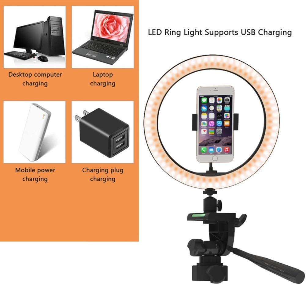 WLP Anello Luminoso da 10 Pollici. Porta Cellulare con Staffa, con 3 modalità di Illuminazione, 10 Livelli di luminosità e Anello Luminoso per Il Trucco da Tavolo dimmerabile
