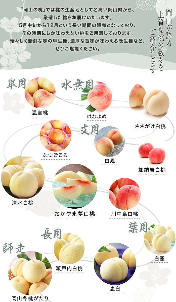 Amazon.co.jp: 桃 岡山白桃 ロイヤル 8～16玉 約4.0kg 岡山県産 JA