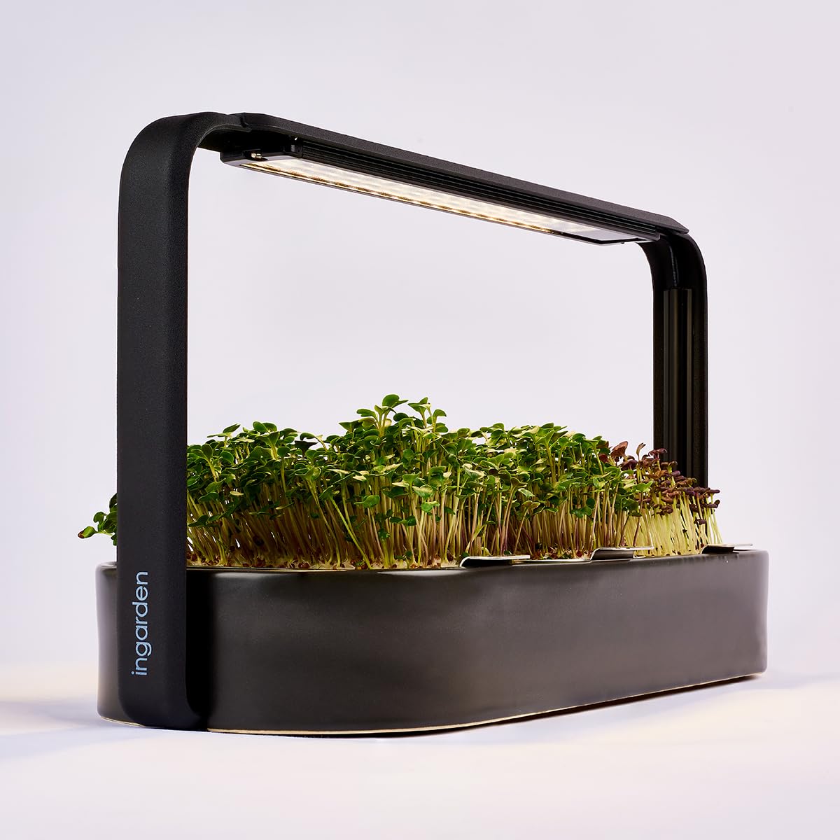 Smart Garden zestaw startowy – Indoor Garden z diodami LED do mikrozielonych – w zestawie 12 ekologicznych nasion – miska z ceramiki w kolorze wulkanicznej czerni – skandynawskie wzornictwo