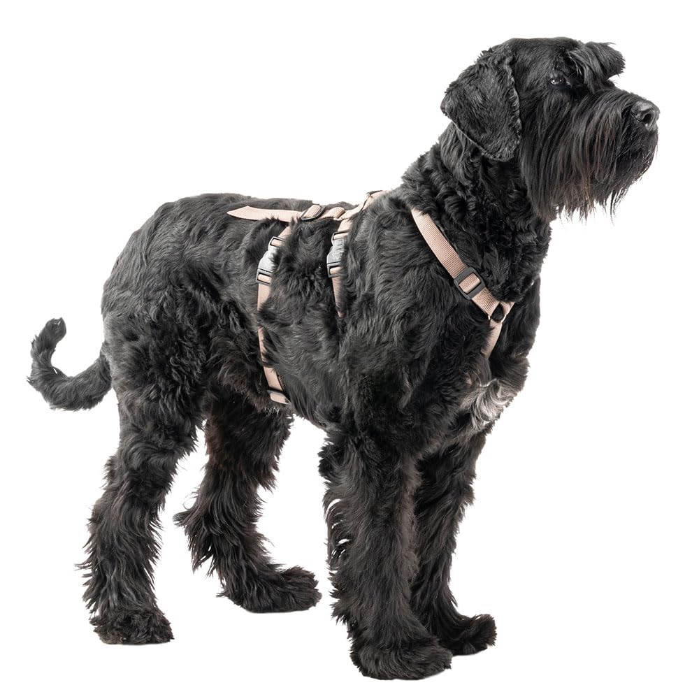 Ferplast Pettorina Cane Taglia Grande BRAVE LARGE, Pettorina per Cani Antifuga, Antipanico, Levriero, 6 Chiusure, Regolabile, Marrone