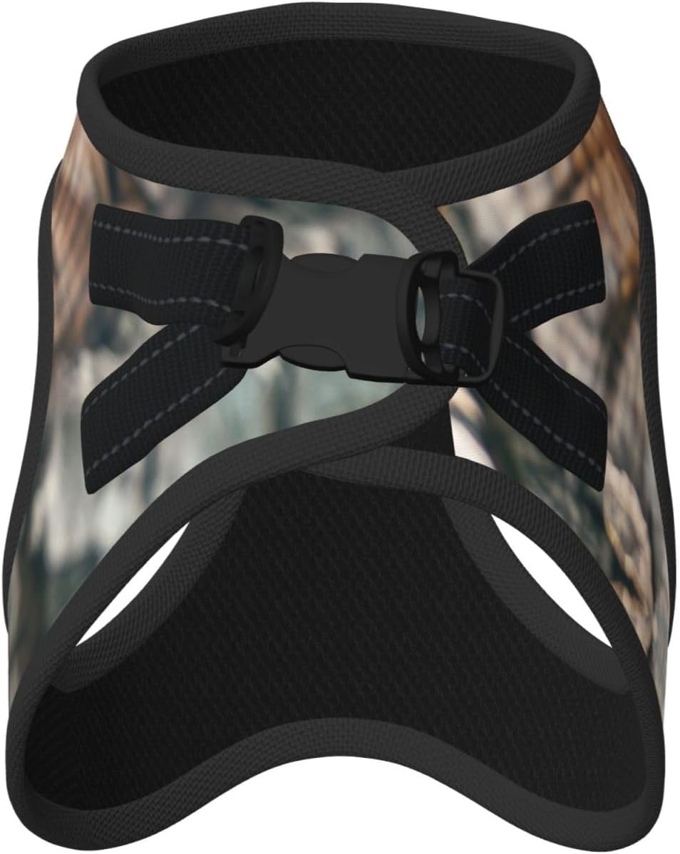 Tree Hole Squirrel Pet Vest Small Size Dog Harness and Leash Set, Reflective & Breathable for Puppy Training with Accessories Medium
