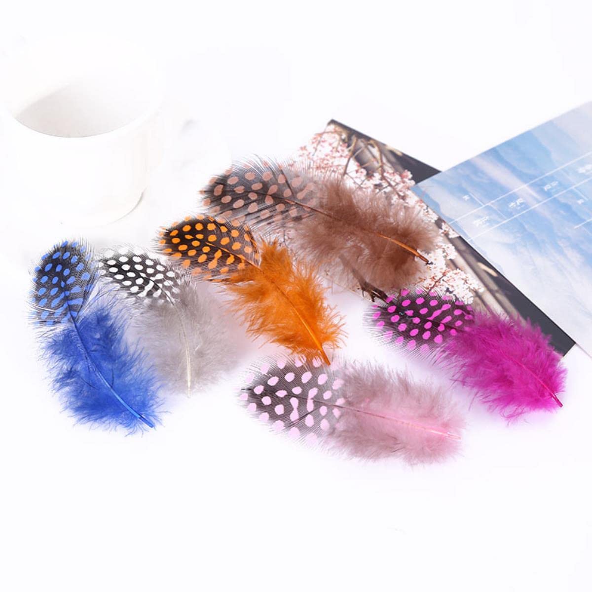 50 Stück Perlhuhn Federn – Bunt, 5-10 Cm, Für Basteln & Deko