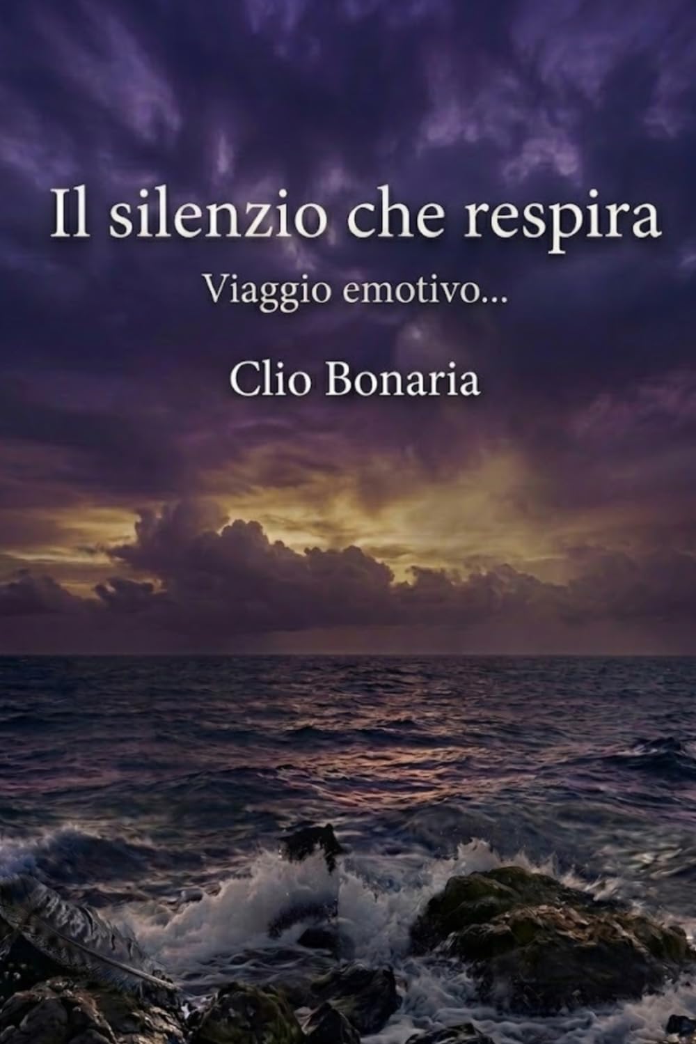 Il silenzio che respira: Viaggio emotivo