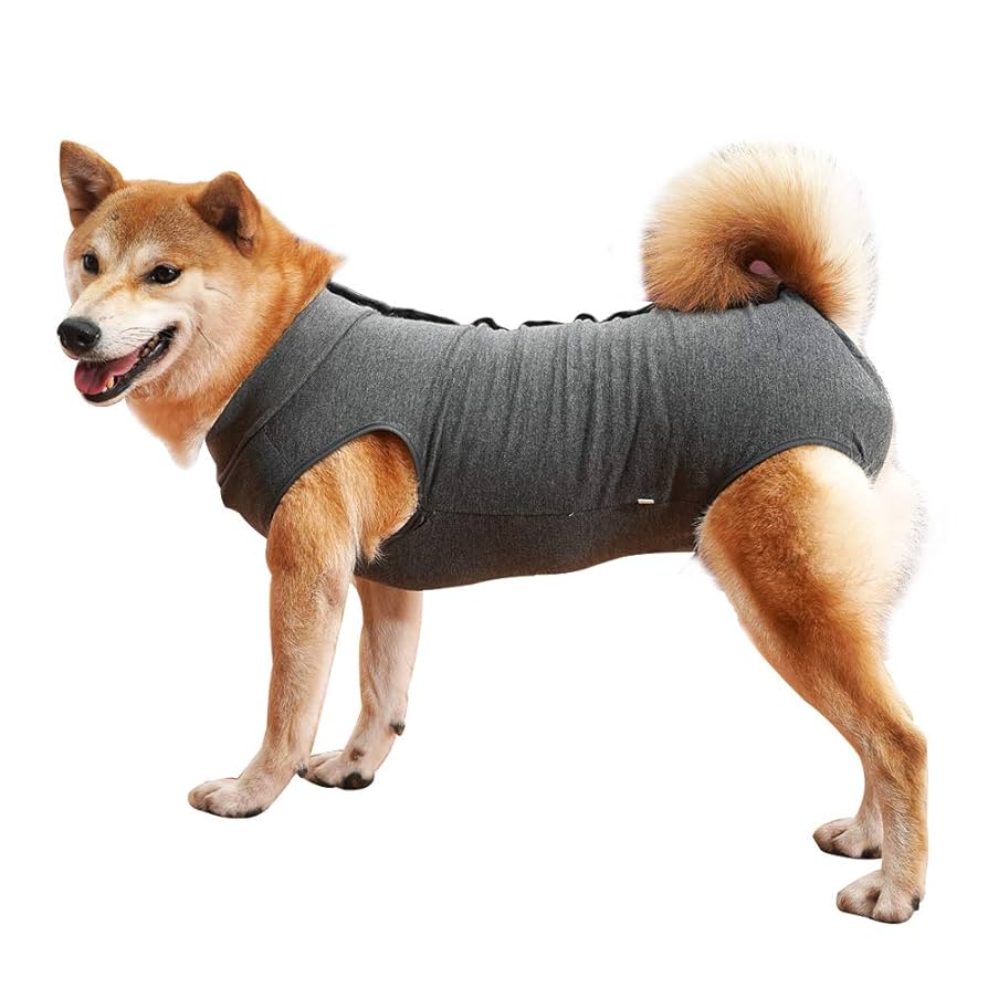 ❣️未使用❣️ 術後服 犬 服 犬用品 術後ウェア 避妊 傷口保護 SSピンクブルー Amazon | 術後服 犬用 服 術後ウェア 保護服 犬介護服 傷口保護