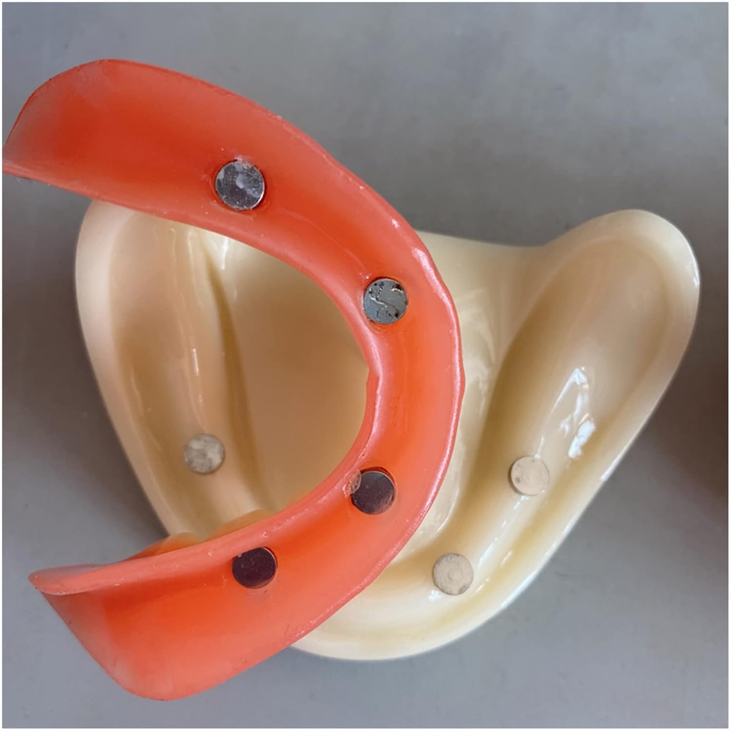 Model protthodontyczny dentystyczny - Model badania Pełna protezy magnetyczna adsorpcja Model zębów implantów - Model edukacyjny zębów zębów dentystycznych - do wykształcenia pacjentów