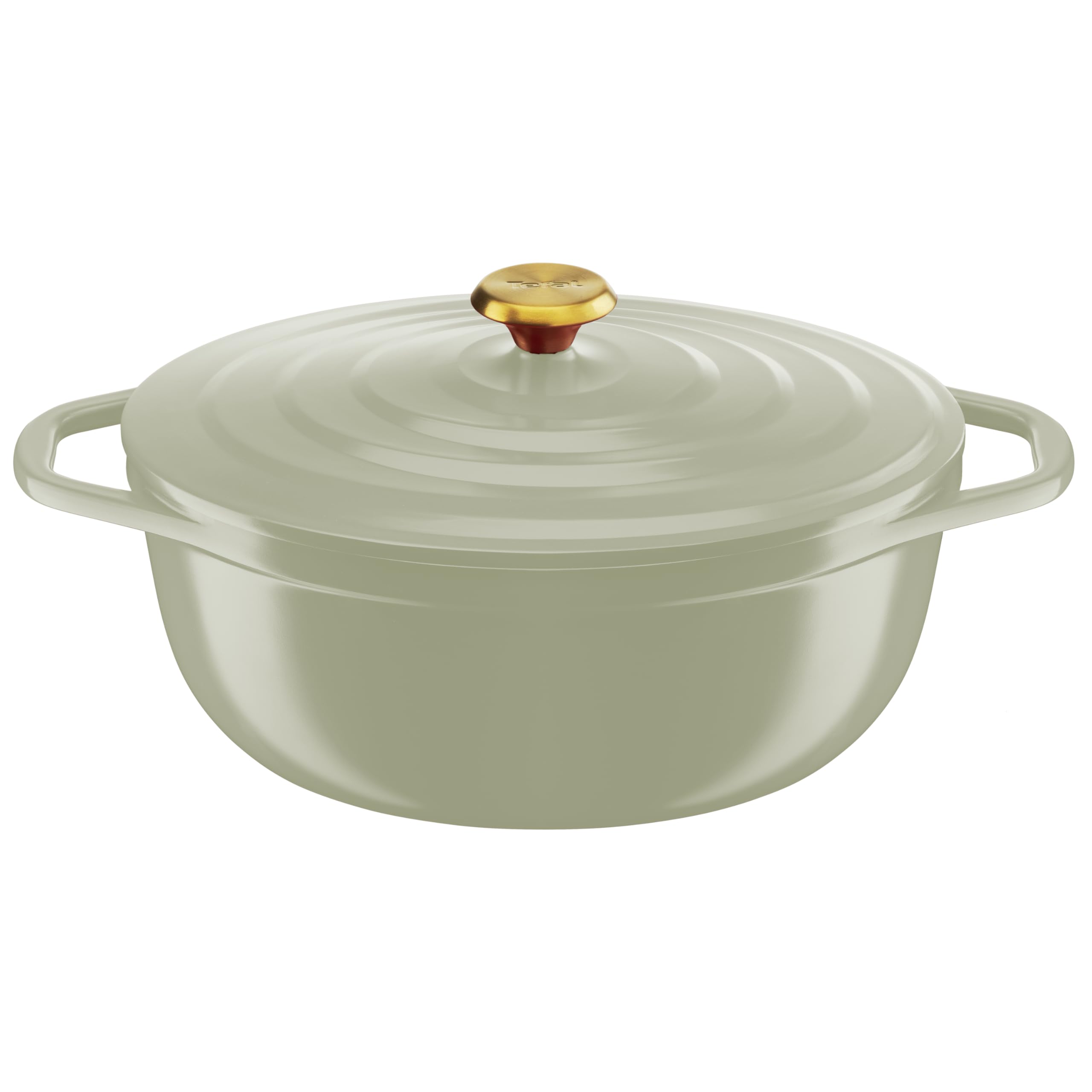 Tefal - Cacerola de Hierro Fundido Ovalado, 30 cm, Olla Ligera de Aluminio Fundido, fácil Limpieza, Revestimiento cerámico Seguro, Tapa de condensación, compatibilidad Horno, inducción, Aire E2668925 | Olla ligera para guisos y asados, revestimiento antia
