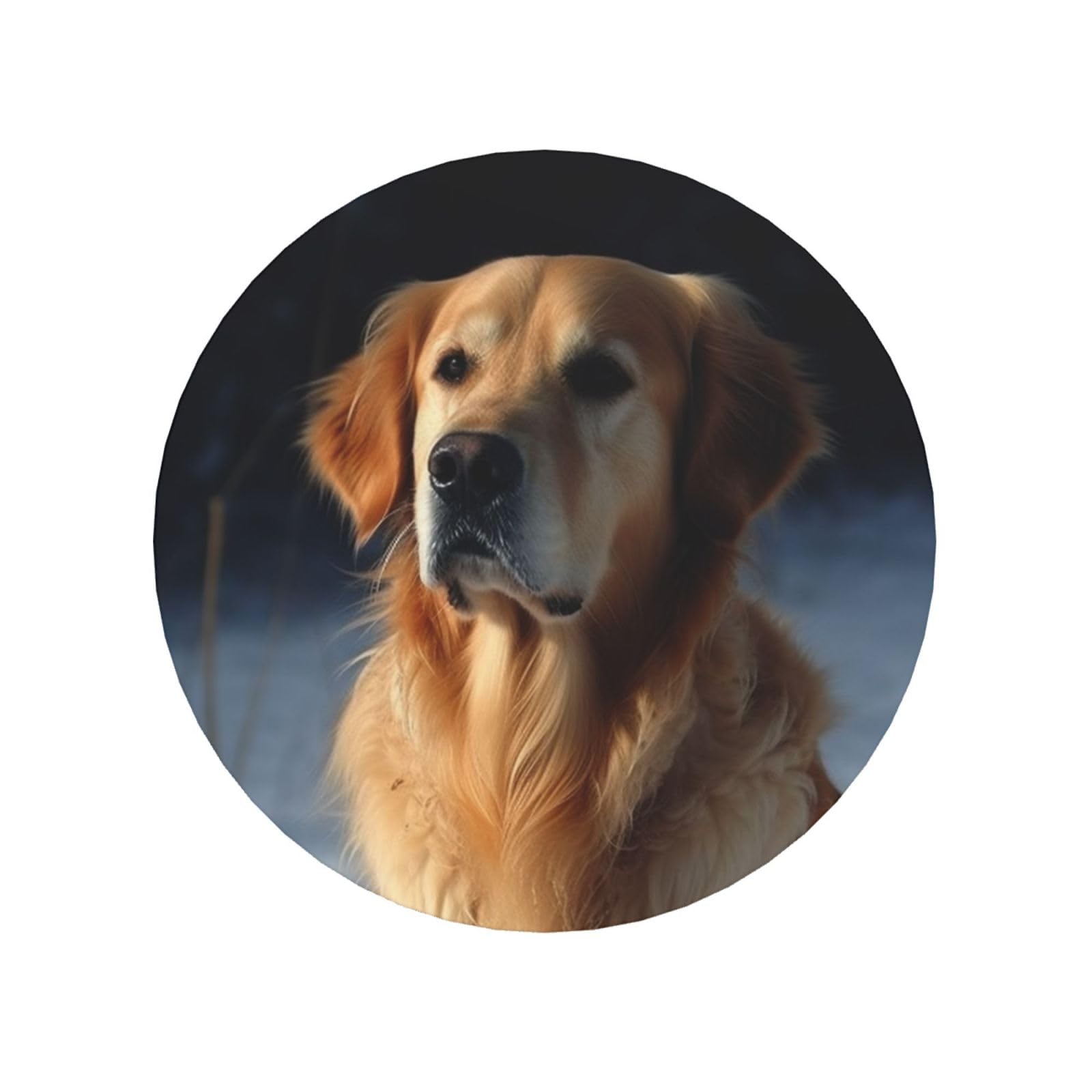 Golden Retriever Fridge Magnets Cute Strong Refrigerator Magnets Fun Magnet for Locker Office Whiteboard Decor, Door Magnets Decorative Magnetic Stickers for Home Decor