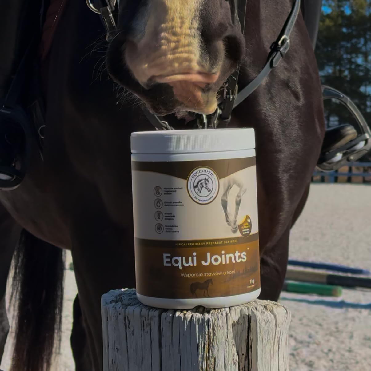 Equi Joints - Gelenkfutter Pferd mit MSM, Kollagen Typ II, Grünlippmuschel & Chondroitin - Unterstützung von Gelenken, Knorpel und Beweglichkeit - 1 kg