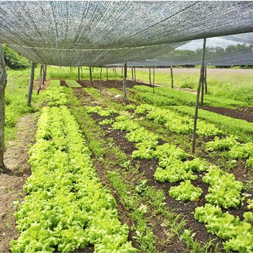 Tela Sombrite Sombreamento Para Horta 80% 4 x 5m