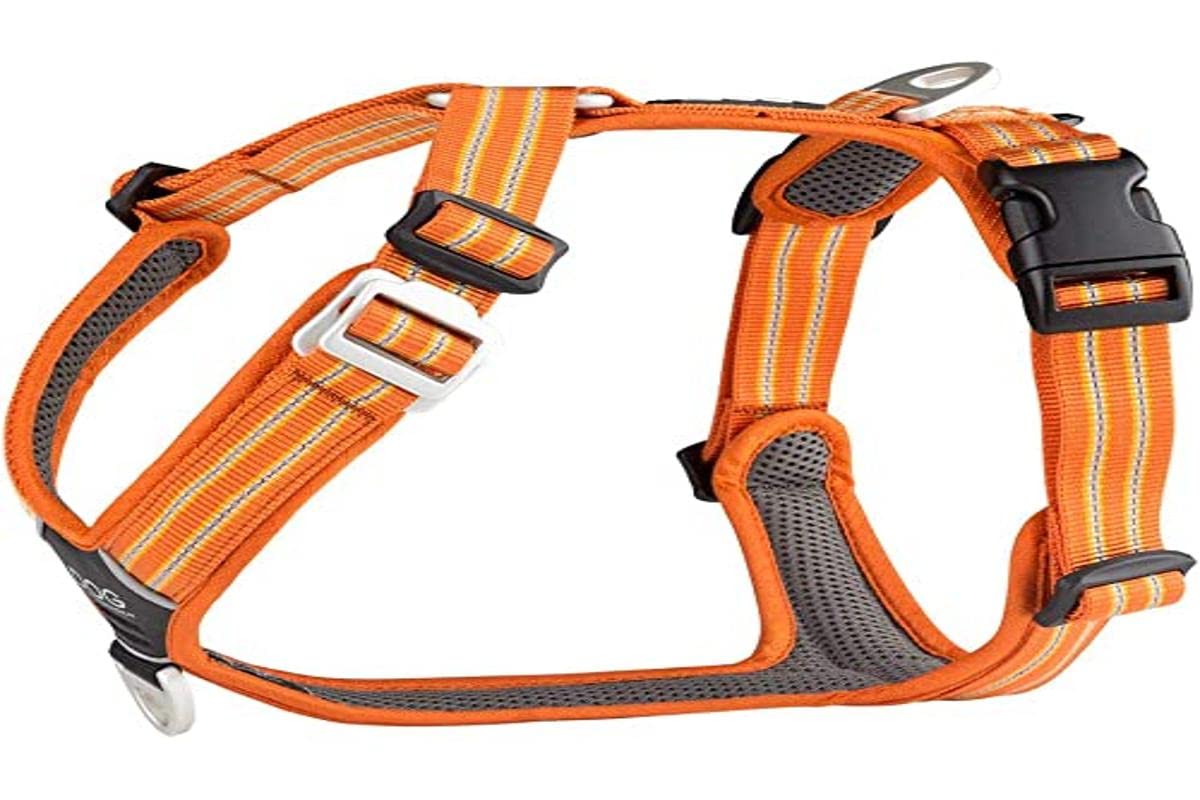 DOG Copenhagen Comfort Walk Air 3.0 Arnés, Classic Red, XS — view 42