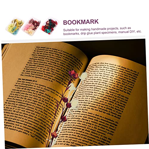 EXCEART 9 Pacotes Kit De Flores De Para Flores Secas Para Resina Kit De Decoração De Flores Secas Ki