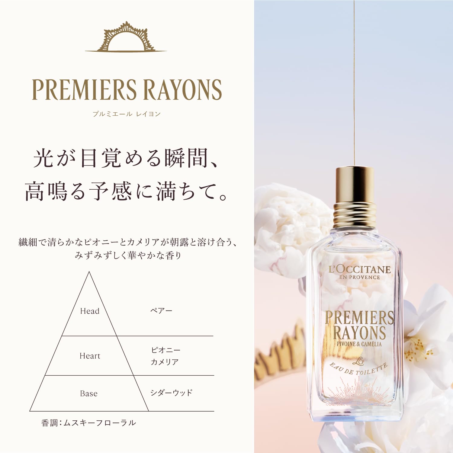 ロクシタン香水プルメリア Premiers Rayons 50ml 限定香水 Amazon.co.jp: ロクシタン(L'OCCITANE) プルミエール レイヨン