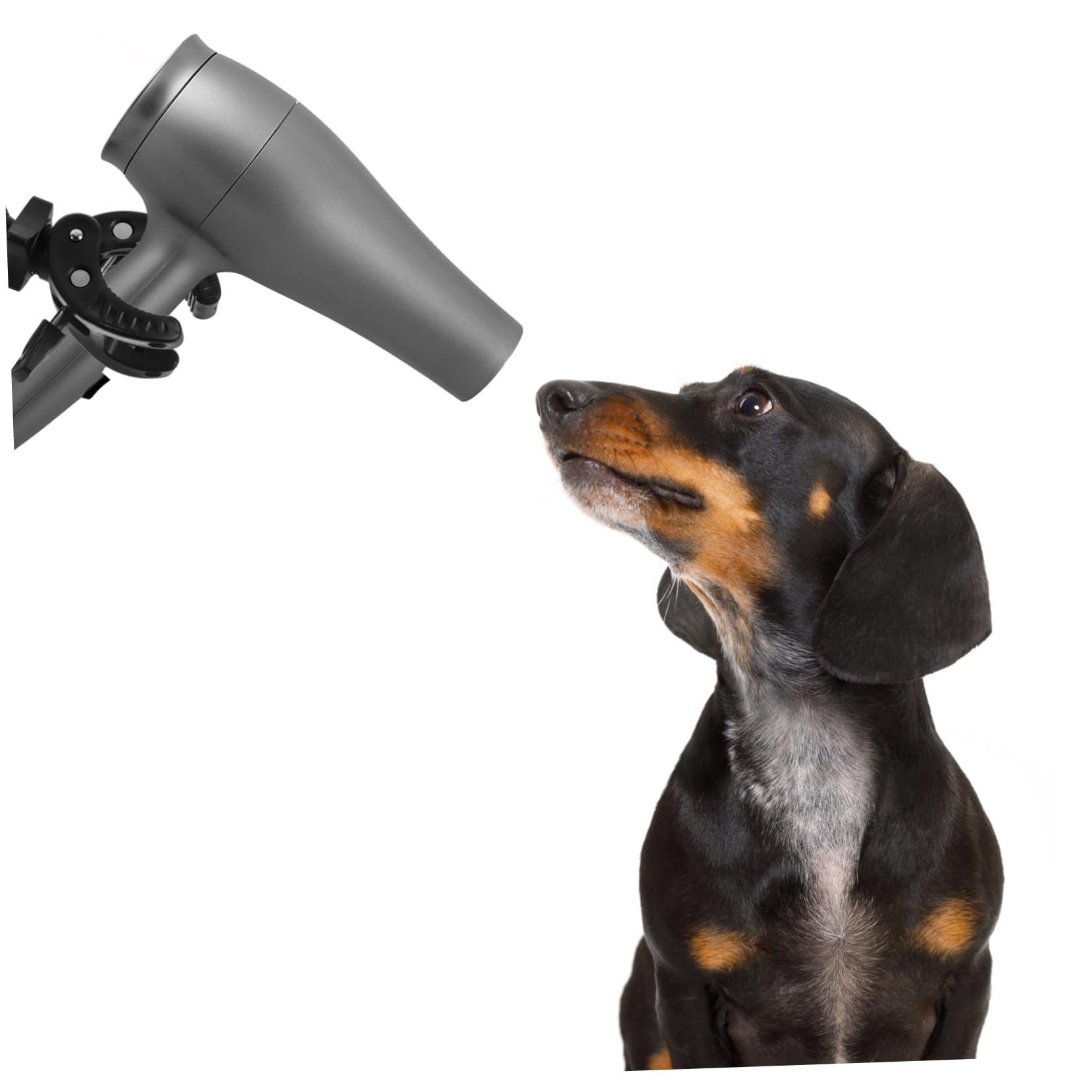 in Domestici Animali per e Asciugacapelli a Regolabile Abs e Alluminio 360, Robusto e Adatto per Uso Professionale e Domestico