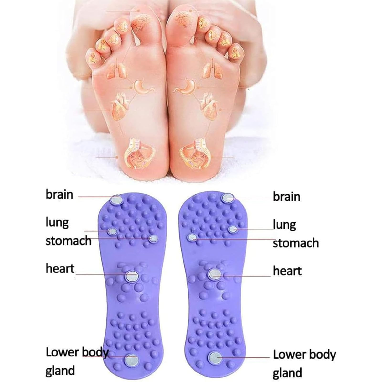 Apparecchio per Massaggio 6 Camere d'Aria, Pressoterapia Linfodrenaggio, per La Circolazione del Massaggiatore di Solli con Funzione di Cronometraggio