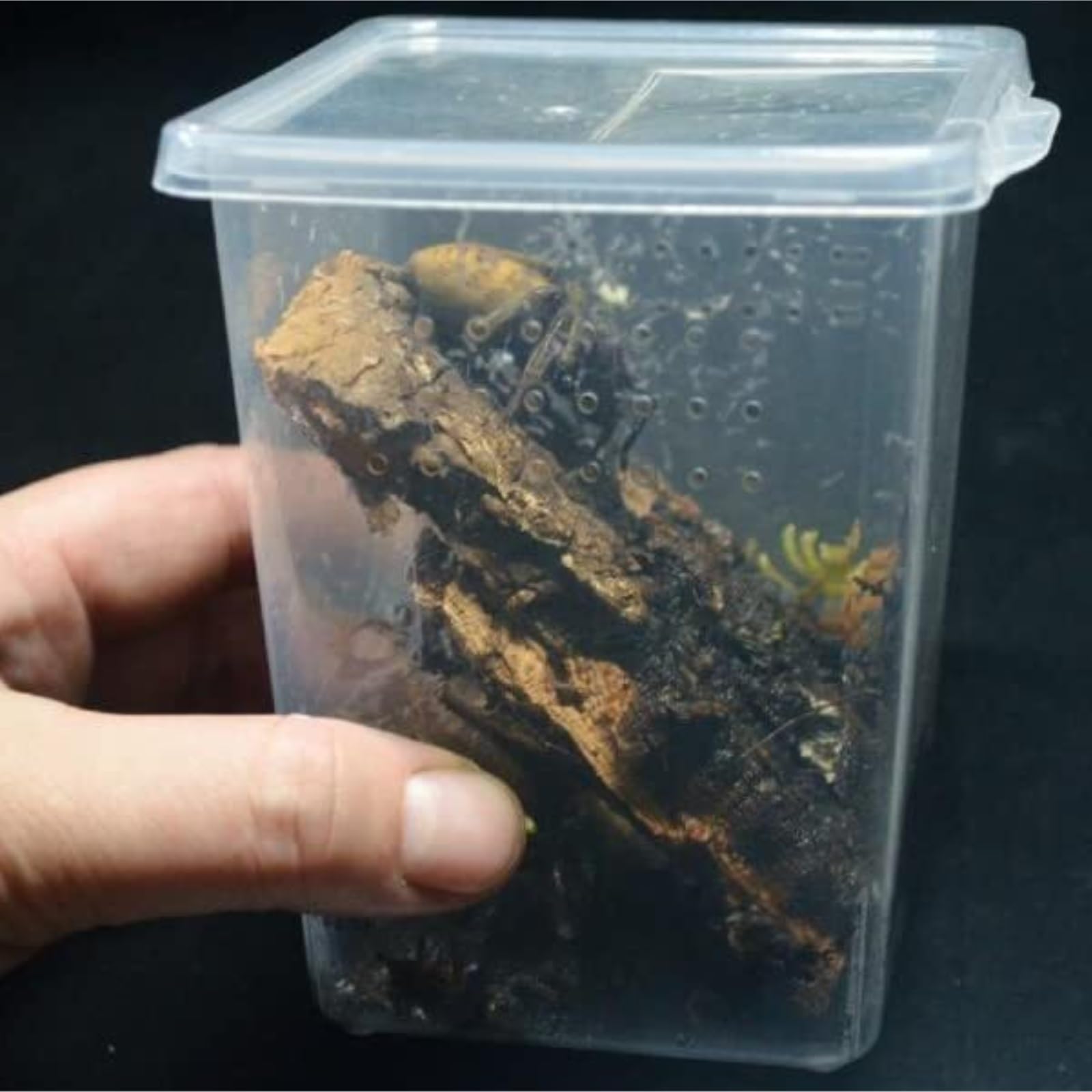 Hodowli Owadów 4 Opakowania Pudełka Do Hodowli Gadów, Terrarium Dla Pająków, Pudełko Uwalniania Akcesoria
