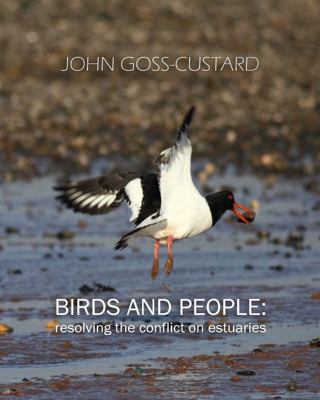 Birds and people: resolving the conflict on estuaries