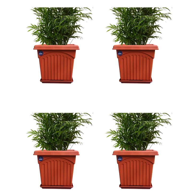 KWEL UV Treated Square Plastic Planter with Tray for Plant Container Gamla for Indoor Home Decor & Outdoor Balcony Garden (10 inches) - Brown Color Pack of 4-image-22