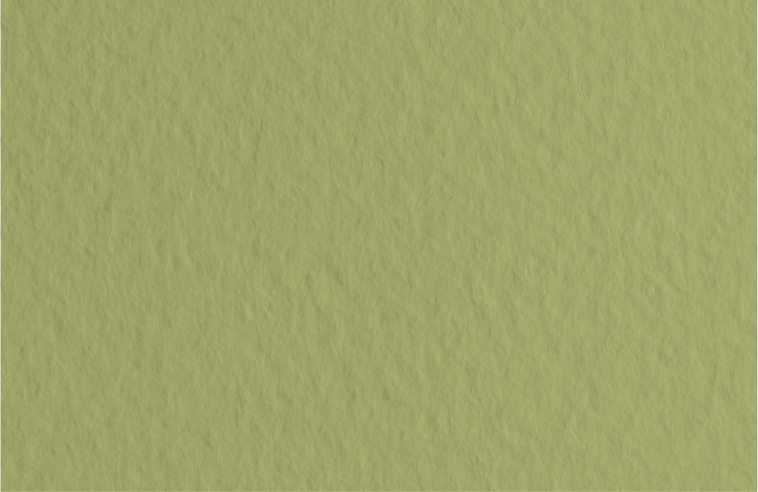 Fabriano 52551014 Pastel Paper, Cotton, Green, 50 x 65 x 0.1 cm