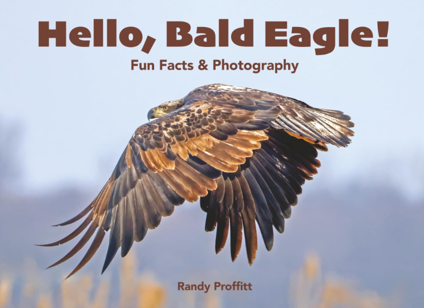 Hello, Bald Eagle! (Hello, Wildlife!)
