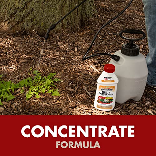 Image of Spectracide Weed And Grass Killer Concentrate 16 Ounces, Use On Patios, Walkways And Driveways, 6 Pack