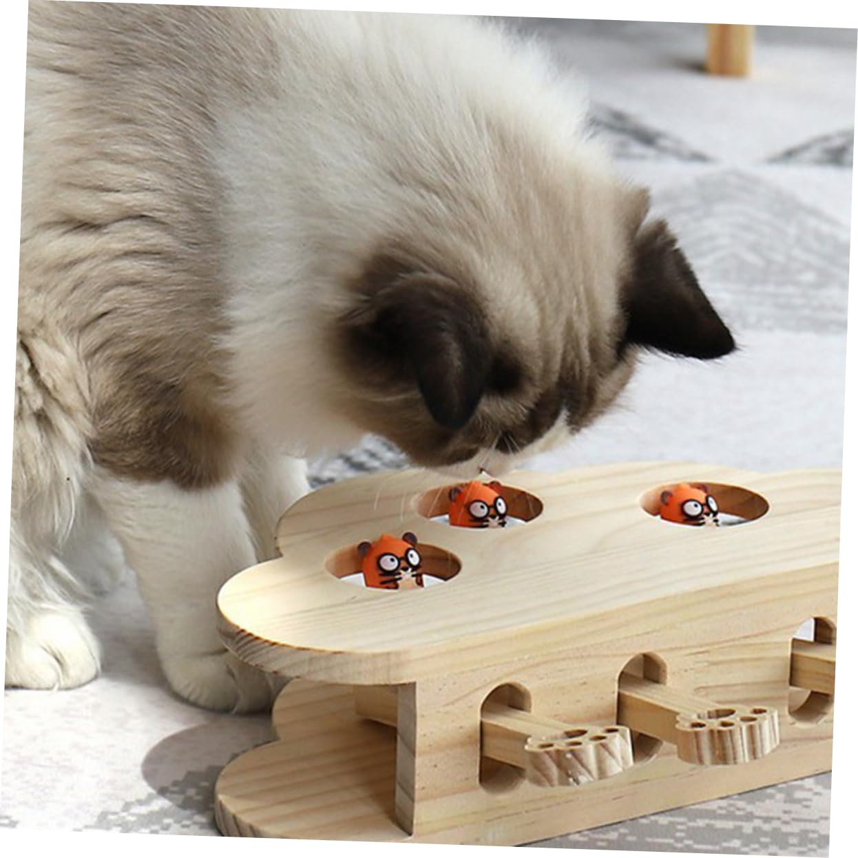 Holz Katzenspielzeug Mäusespielzeug Interaktiv Mit Katzenminze Spielerisch Haustier Katze