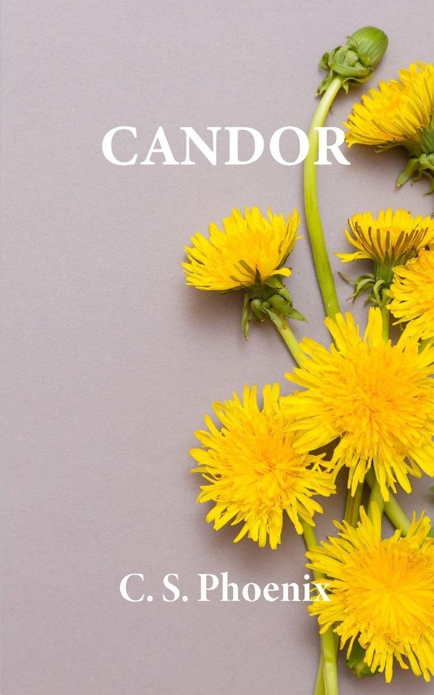 Candor: Healing the Trauma of Child Molestation, Sexual Abuse, and Rape: 3 (Carbon Copy)