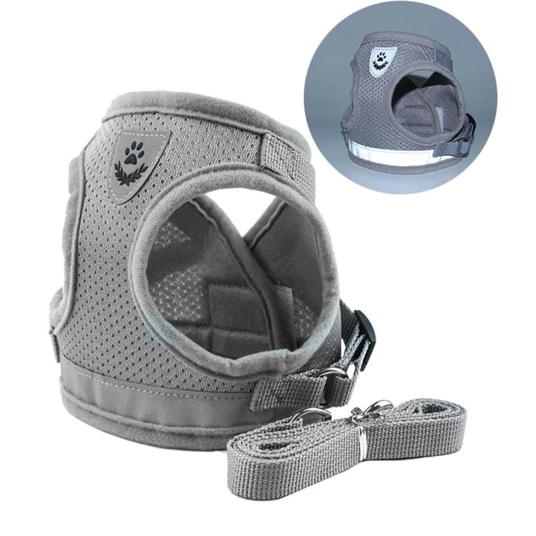 PARENCE. - Small Dog Cat Harness with Leash - Adjustable Breathable Mesh Vest Safety and Comfort for Puppies Kittens and Small Animals - Image 3
